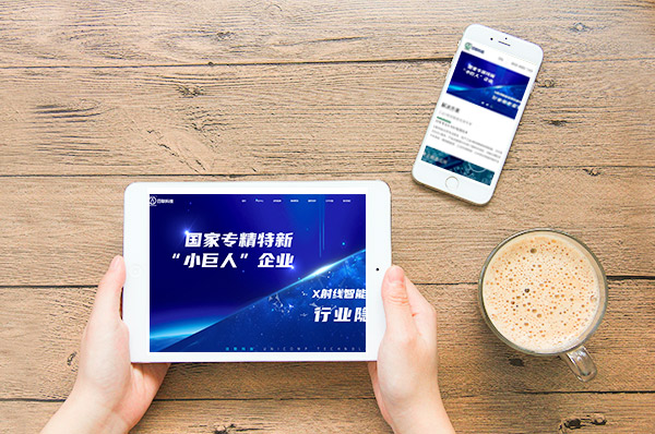 網(wǎng)站建設(shè) 網(wǎng)站建設(shè)